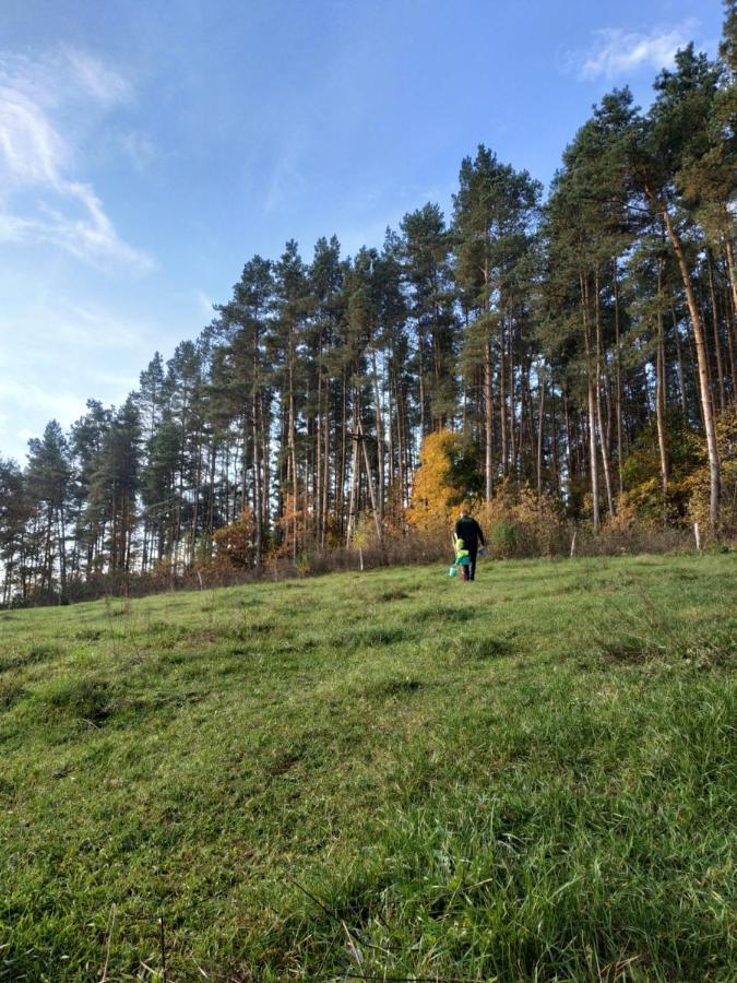 Domki Nad Jeziorem - Zalesie 7D Zalesie (Olsztyn) Eksteriør billede