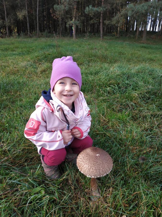 Domki Nad Jeziorem - Zalesie 7D Zalesie (Olsztyn) Eksteriør billede