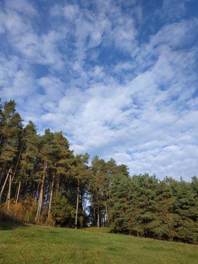 Domki Nad Jeziorem - Zalesie 7D Zalesie (Olsztyn) Eksteriør billede